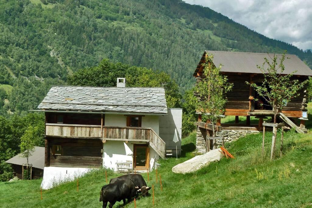 Appartement "Le Ver Luisant" A Saint-Martin, Val D'Herens, Valais Exterior foto